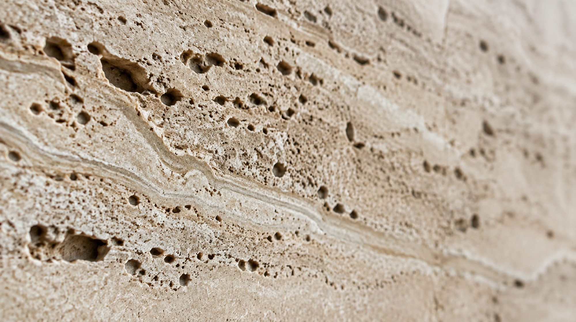 Macro detail of honed travertine under raking light, showing the vein cuts and open pores.